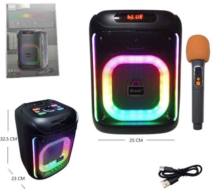 PARLANTE KARAOKE 6.5 PLG C/MICROFONO BTS-2286