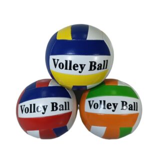 PELOTA DE VOLLEYBALL N5 V233-1